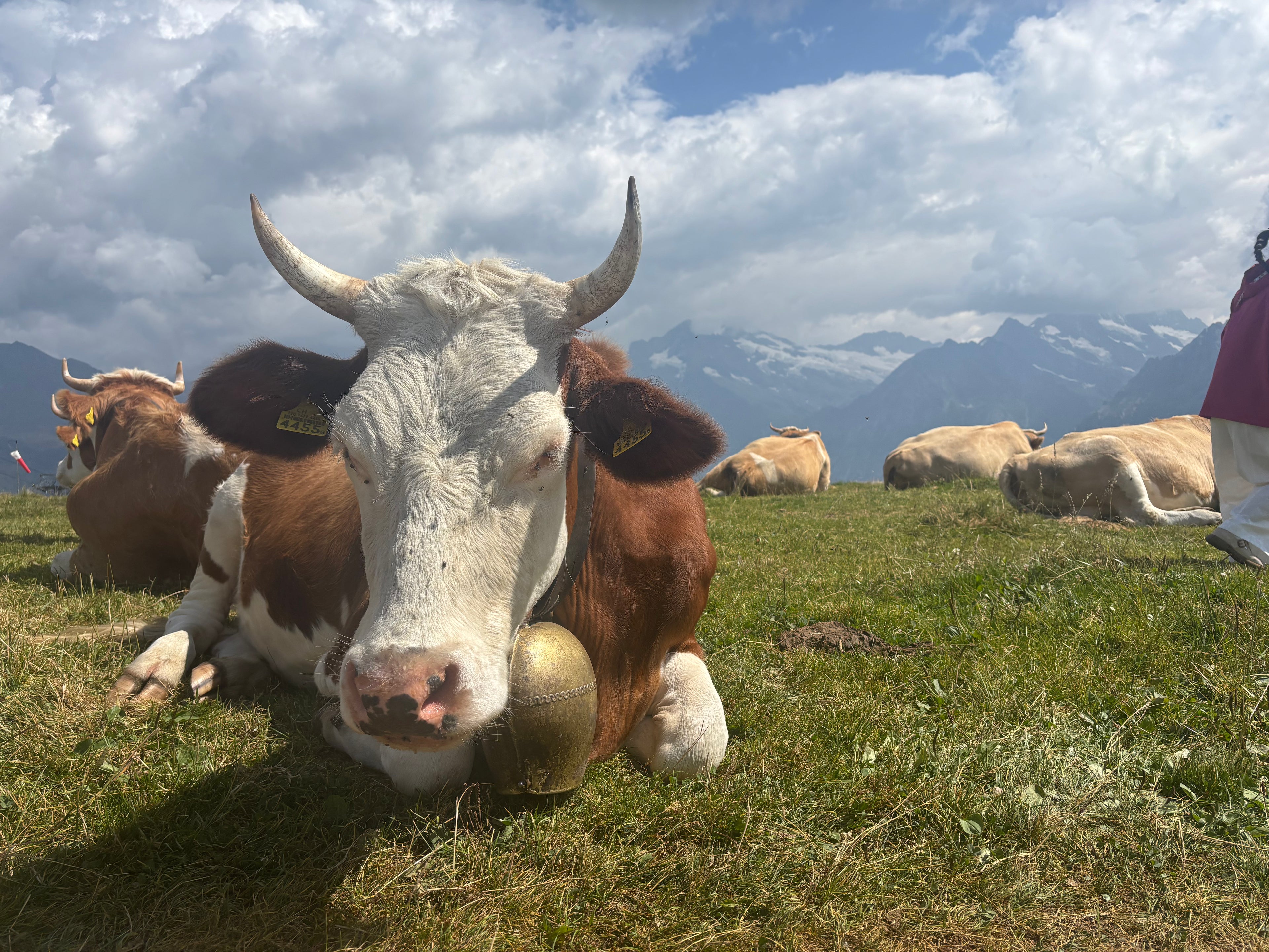 Hidden Gems of Lucerne with Sandiana 🌿🇨🇭